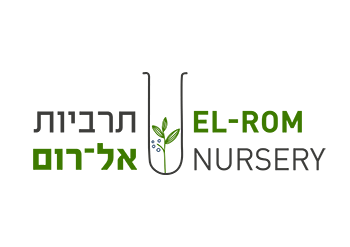לוגו תרביות אל-רום