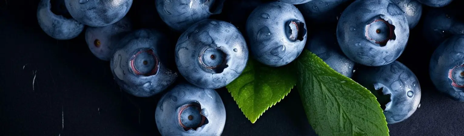 הוראות גידול אוכמניות